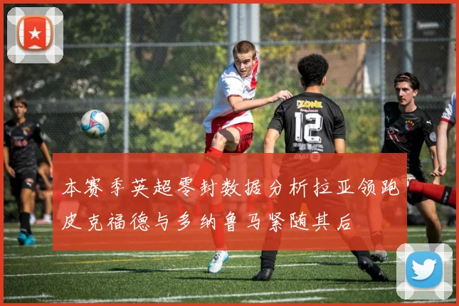 本赛季英超零封数据分析拉亚领跑皮克福德与多纳鲁马紧随其后