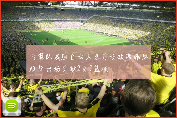 飞翼队战胜自由人李月汝缺席韩旭短暂出场贡献2分3篮板